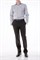 Брюки мужские (Б) 602385 269